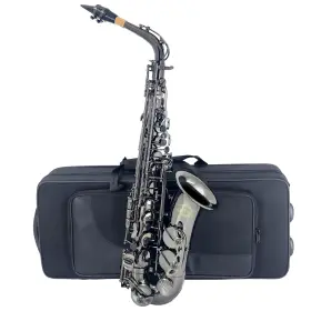 Jas-802 Aiollns Alto Saxophone E Flat Black Color Beginner/performer