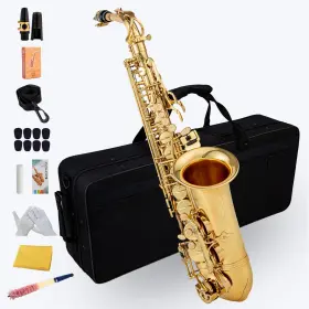 Aisiweier 700306941273 Gold E Flat Alto Saxophone Brass Engraved Eb E-flat Natural White Shell Button W