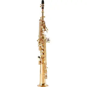 Asps-450l Allora Asps-450 Vienna Series Straight Soprano Sax Lacquer Keys