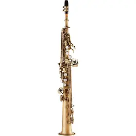 Asps-550am Allora Asps-550 Paris Straight Soprano Sax Antique Matte Keys
