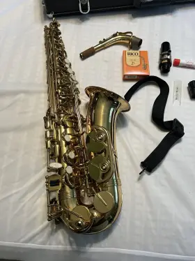 A18091 Alpine Alto Sax
