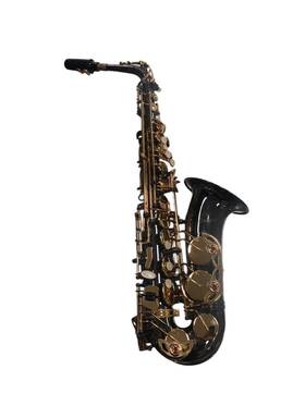 Antigua Winds 4240 Nv1030854