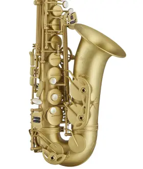 As4248cb Antigua Winds Powerbell Professional Alto Saxophone - Classic Brass