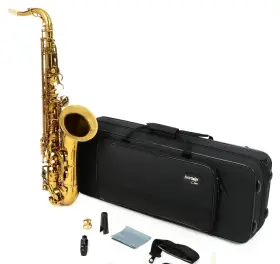 Bs-ts-11-dl Better Bettersax Classic Tenor Student Saxophone - Dark Gold Lacquer Certified Open Box