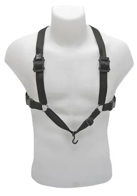 0002698761 Bg 700031241225 France Music Accessory B12