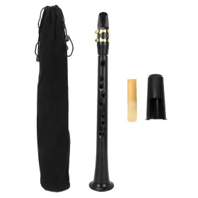Bnineteenteam 739551867281 Portable Pocket Bb Saxophone Sax Mini With Storage Bag
