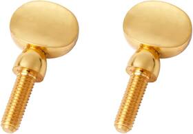 Brand Nqeuepn 129098 2pcs Saxophone Neck Screws Heavy Golden Sax Screw 1.12 X 0.57 Inch