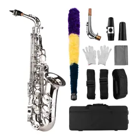 Vjh8602882101729hp Btuty E Flat Alto Saxophone Brass Silver Includes Mouthpiece Cleaning Cloth Br