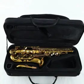 Ad000316 Bundy Eas111 Model Ftbettersaxft Student Alto Saxophone Sn Open Box