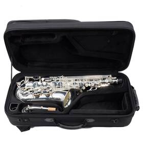C.g. Conn Cas411s C.g. Model Alto Saxophone In Silver Plate Sn Aj00324042 Excellent