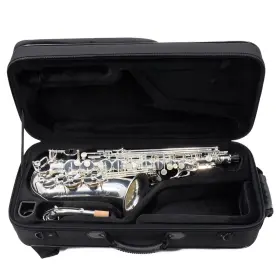 Aj00324042 C.g. Conn Cas411s Model Alto Saxophone In Silver Plate Sn Excellent