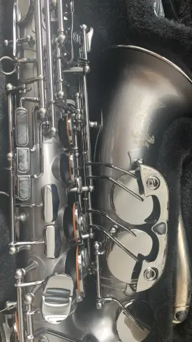 132699 Cannonball Alto Saxophone Silver Matte Hand Engraved Two Necks Case