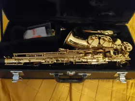 187194 Cannonball Professional Alto Saxophone Algaza Series Al