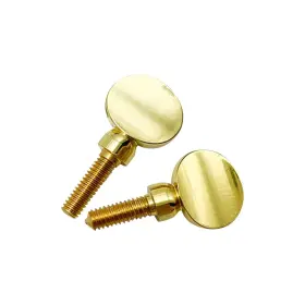 Dy2892d Cchude 2 Pcs Sax Neck Screws Tightening Attach Screw Alto Mixed Size Gold