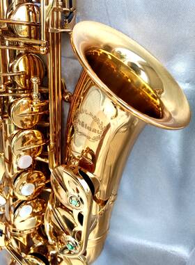 Chateau 012111057 Cas22gl Amber Gold Alto Sax With Beautiful Case And Mpc. - Very Nice