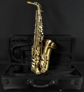 Cas-22m Chateau Valencay Alto Saxophone With Ohsc Brush Finish