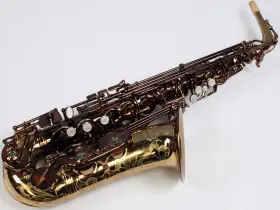 Cas-50c Chateau Chambord Cas-50 Alto Saxophone Outfit Cognac Never Owned