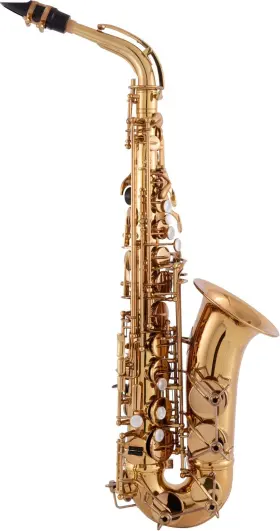 Cas411dl Conn As411 Intermediate Alto Saxophone - Dark Lacquer