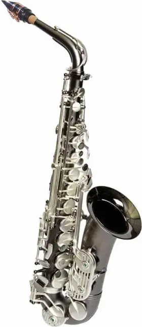 Sda-xl-120 Dakota Saxophones Xl Series Alto Saxophone