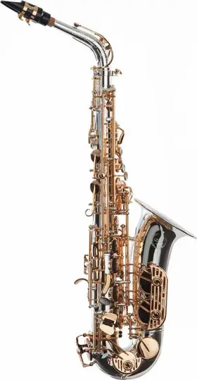 Sda-xl-130 Dakota Saxophones Xl Series Alto Saxophone