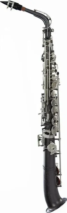 Sdas-1020 Dakota Saxophones Straight Body Alto Saxophone
