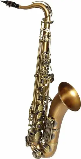 Sdt-xg-505 Dakota Saxophones Xg Series Tenor Saxophone