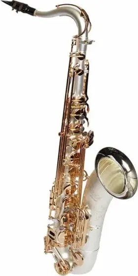 Sdt-xl-210 Dakota Saxophones Xl Series Tenor Saxophone