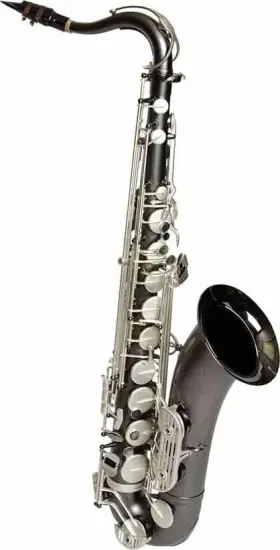 Sdt-xl-220 Dakota Saxophones Xl Series Tenor Saxophone