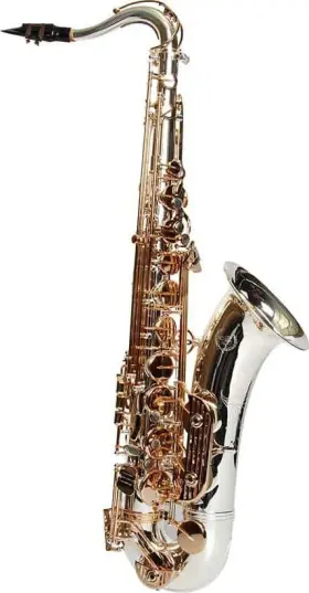 Sdt-xl-230 Dakota Saxophones Xl Series Tenor Saxophone