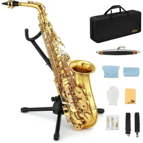 Eastar 680358106434 Alto Lacquer Student Beginner Saxophone With Stand E Flat Full Kit Gold