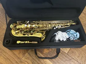 Eb135-fba-ca Eastar Eb133 Alto Saxophone - Gold