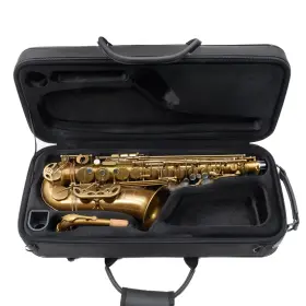 A2304252 Eastman Eas451v Model Alto Saxophone In Vintage Lacquer Sn Open Box