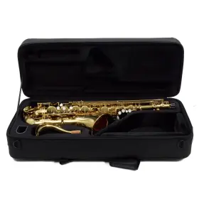 A2450772 Eastman Ets483 Model Performance Series Tenor Saxophone Sn Open Box