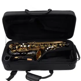A2303039 Eastman Winds Eas451bl Model Performance Alto Saxophone Sn Open Box