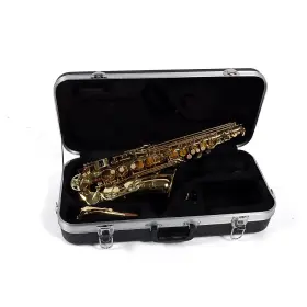 Eas-200 Etude 197881425074 Student Series Alto Saxophone Lacquer Ob