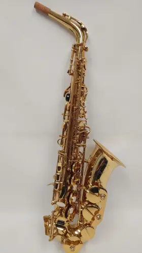 Gsa500-lq Gemeinhardt Alto Saxophone With Case And Mouthpiece Ready To Play