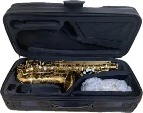 Gas-10 Giardinella Gas10 Giardinelli Alto Saxophone By Eastman New With Possible Defects