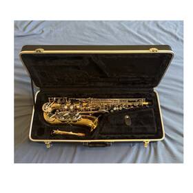 Giardinelli As17080369 Gas-300 Alto Saxophone Gold Lacquer Case Accessories