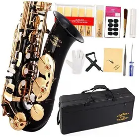 11reeds Glory 701851964533 Black Laquer E Flat Alto Saxophone With 8 Pads Black/gold
