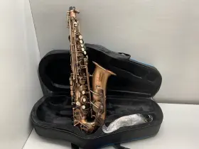 Ctpr01 Glory E Flat Alto Saxophone Grade Antique Finish Series Pr1- Bronze