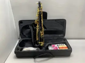 Ctr808-bk Glory E Flat Alto Saxophone- Black/silver