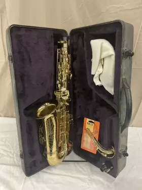 Eb134-fba-ca Hawk Alto Saxophone With Hard Case