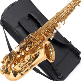 Herche 445038994953 Saxophone Superior Alto X3 Professional Instruments For All L