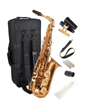 Herche 655457490289 Saxophone Superior Alto X3 Professional Instruments For Al