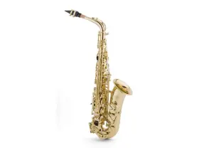 Jb290alxx Jean Baptiste 290al Alto Saxophone Outfit