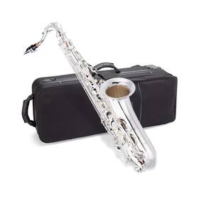 Jean Paul Usa 806802177182 Student Tenor Saxophone Ts-400sp - Silver-plated