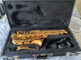 Jp045g John Packer Deluxe Alto Saxophone - Gold Lacquer With All Accessories