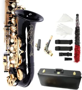 B09xxm389v Ktaxon Alto Saxophone Drop E Brass Sax Full Kit For Student Beginners With Carvi
