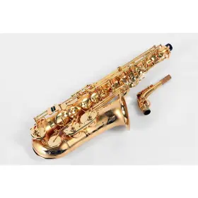 L.a. Sax 197881054816 La Goodsen Al Alto
