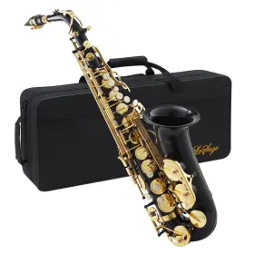 Lesage 764544659390 E Flat Black Saxophone For Beginners And Students - Alto Sax With Case